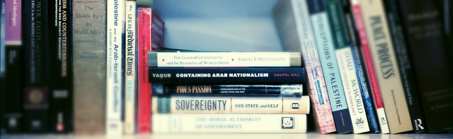 Social Science Global Studies Major