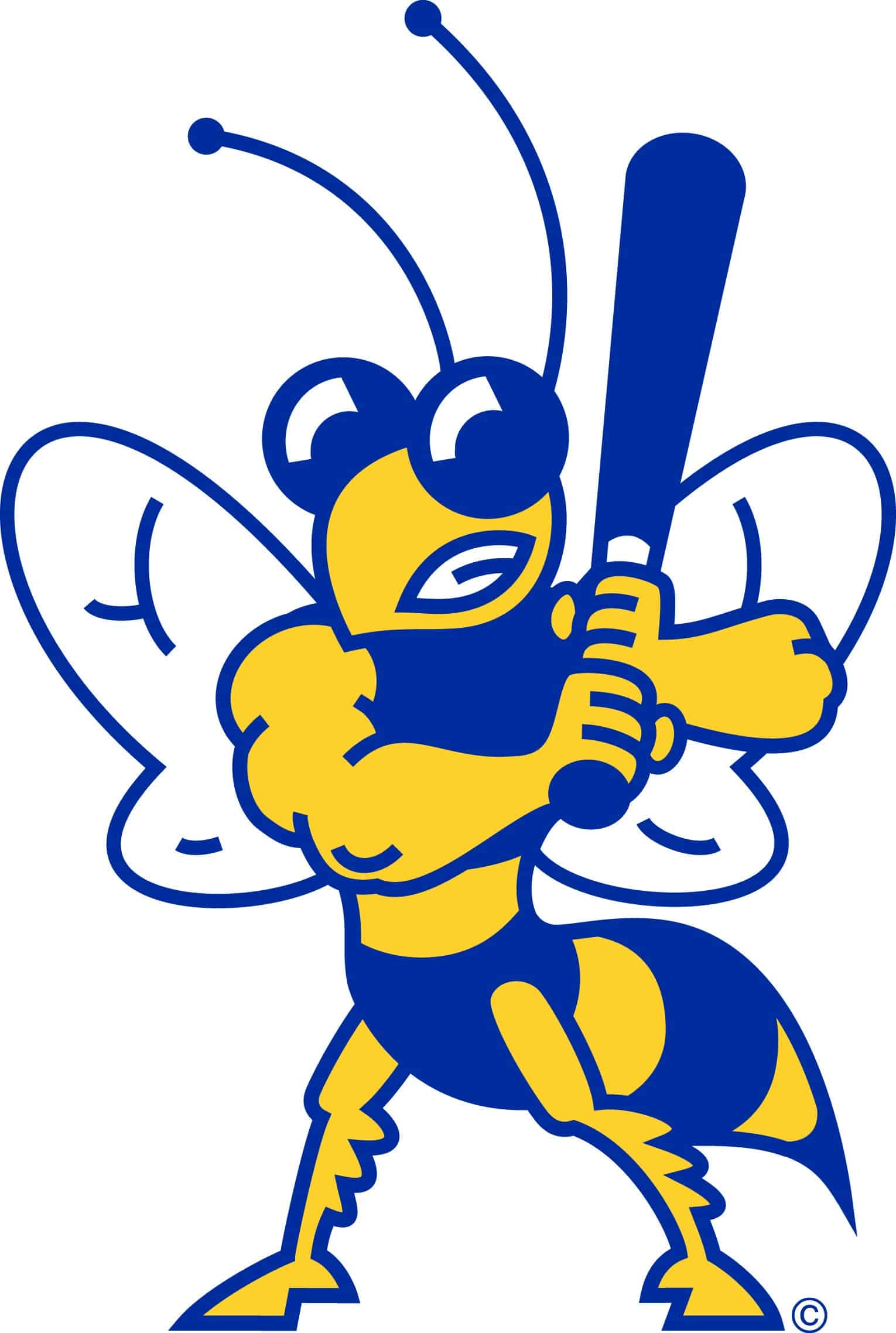 Baseball Buzzsaw