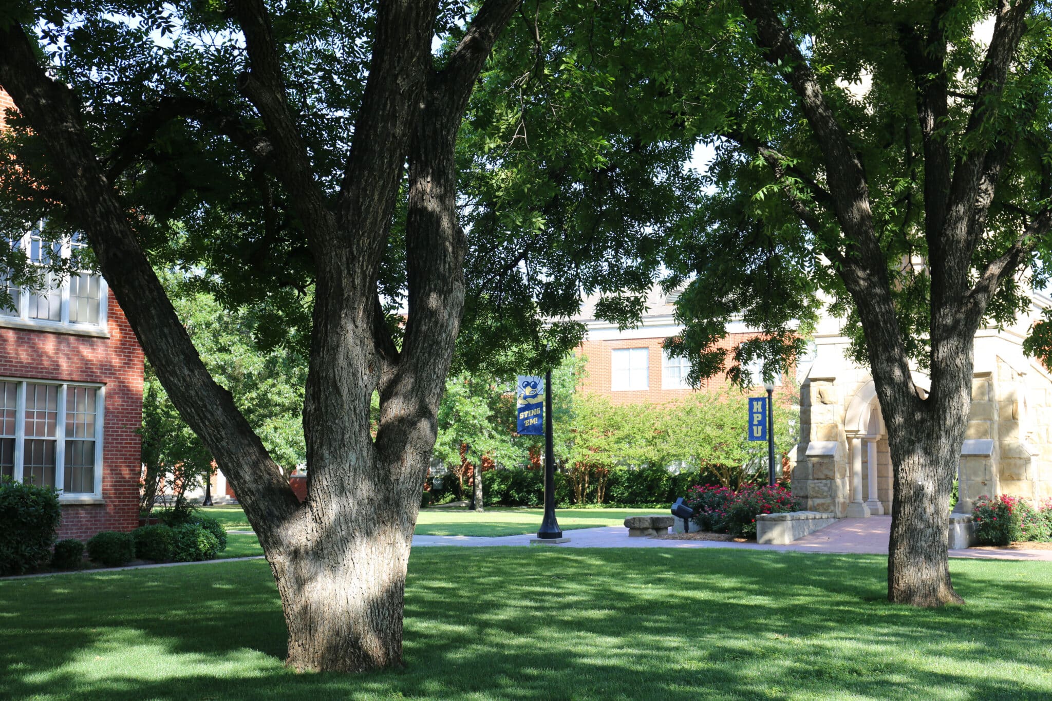 HPU grounds