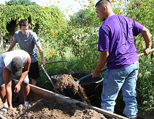 Photo 4 Garden HPU 2 for web