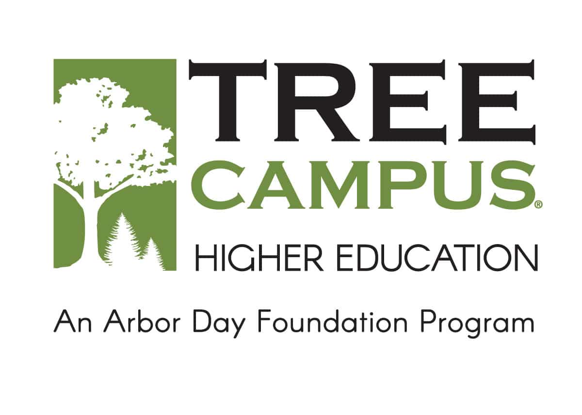 Tree Campus logo