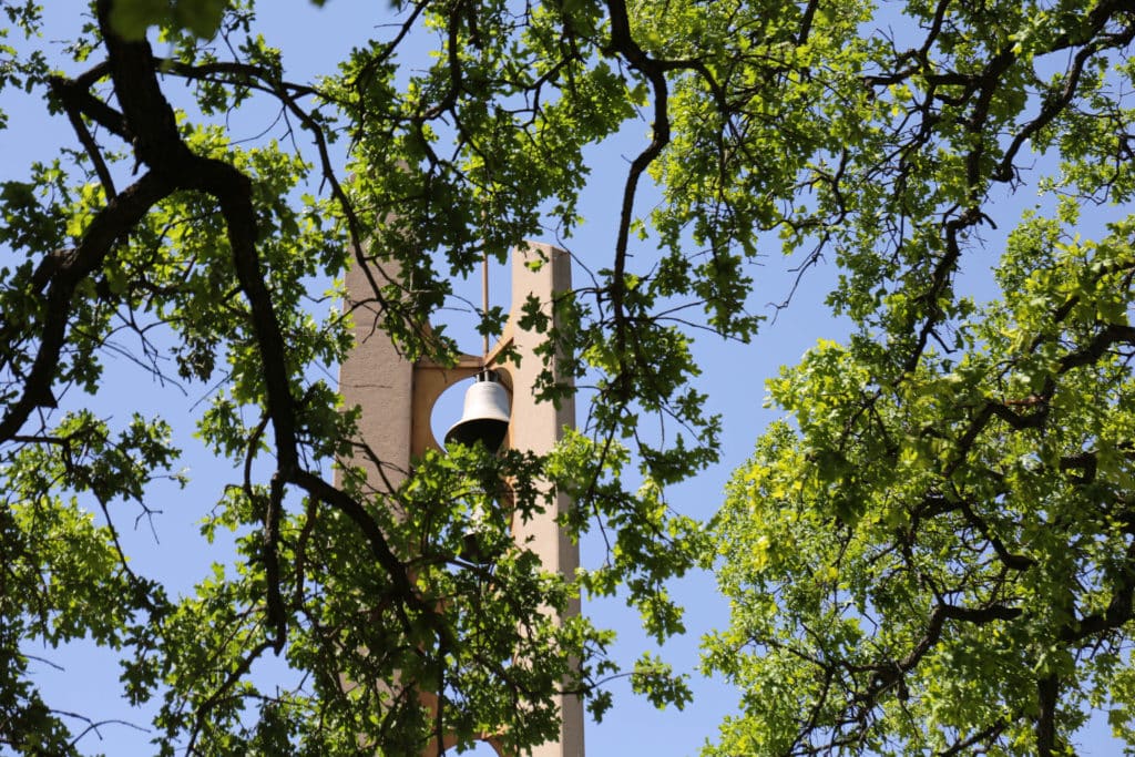 Bell Tower behind trees