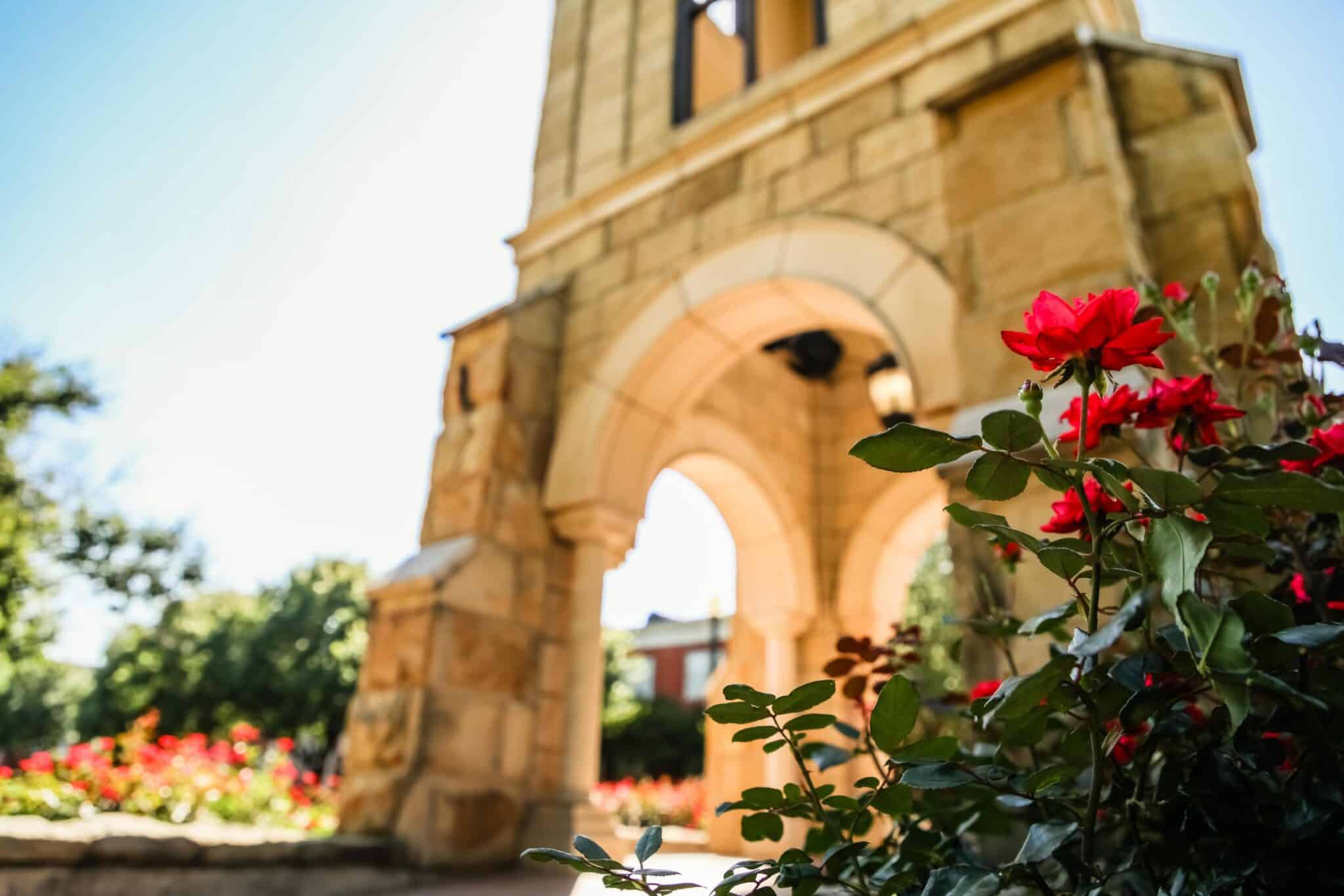 Red flowers in focus with a blurred Howard Payne University archway in the background on a sunny day. | HPU