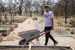 A smiling man pushing a wheelbarrow at Howard Payne University's community garden with raised beds in the background. | HPU