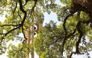 Lush green tree branches partly obscuring a view of the Howard Payne University clock tower in the background. | HPU
